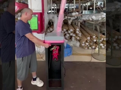 HCW Parking Lot Boom Barrier Gate 24v DC Brushless Motor Mechanism For Smart Gate Security